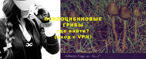 ПСИЛОЦИБИНОВЫЕ ГРИБЫ Бронницы