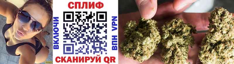 Конопля SATIVA & INDICA Вязники